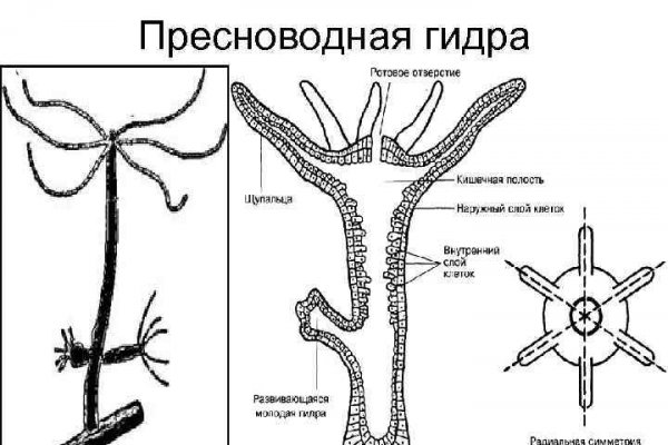 Что такое кракен маркетплейс в россии