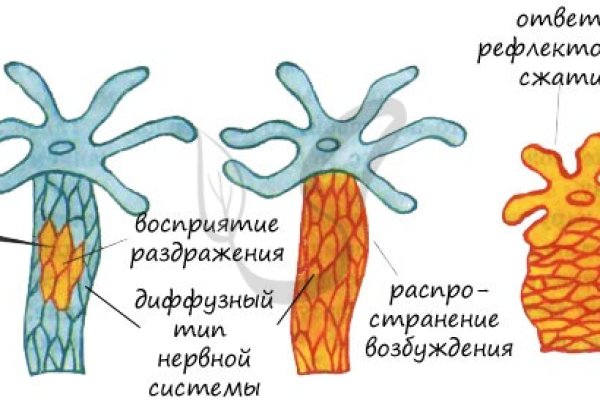 Кракен ссылка орион